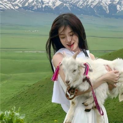 傻瓜大闹西班牙